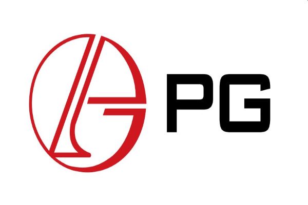 P G Electroplast Private Limited