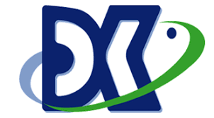 DONGKWANG PRECISION INDIA PVT. LTD.